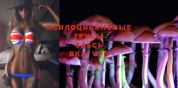 мескалин Няндома