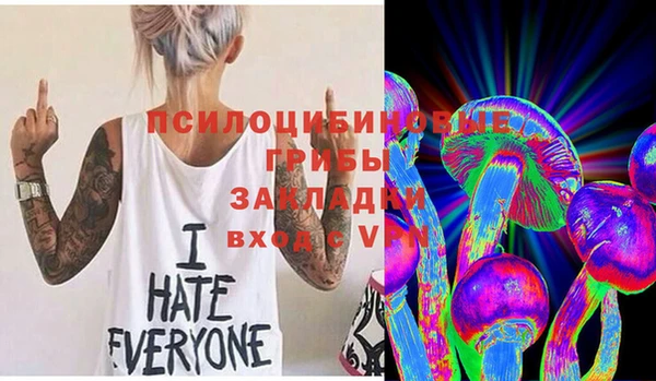 альфа пвп Нязепетровск