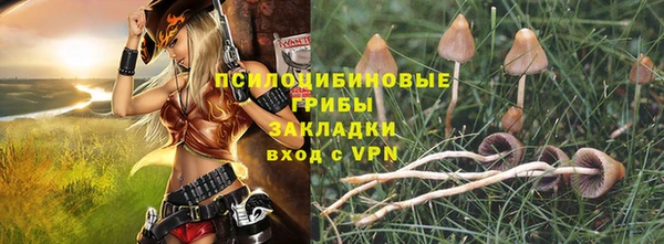 мескалин Няндома