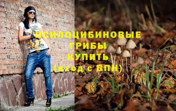 альфа пвп Нязепетровск