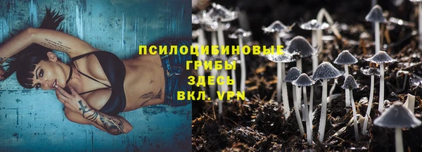 крисы Нягань