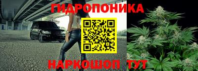 трава Лесосибирск