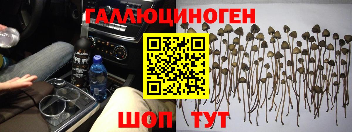 Старая Купавна  Псилоцибиновые грибы ЛСД  Вход с VPN 